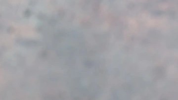 Una copa de vidrio con bolas de sorbete de cereza sobre una tabla de madera con decoraciones de hoja de menta