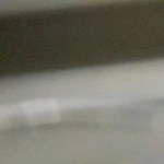 Vasos de vidrio con bolas de sorbete de manzana verde, decorado con menta