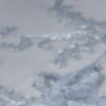 Plato blanco hondo con arroz árabe navideño sobre una mesa vinotinto