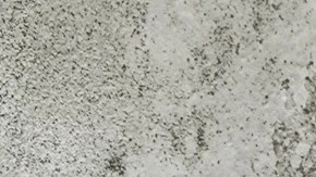 Plato blanco con buñuelos de café