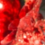 Plato blanco de hojuelas colombianas con una decoración de navidad