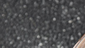 Recipiente transparente con paté de vermut sobre una mesa gris