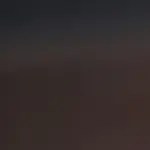 plato con tinga de pollo