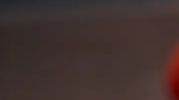 plato con tinga de pollo