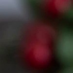 Bandeja de madera con turrón de guirlache picado en pedazos