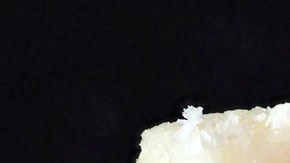 Pedazos de turrón de coco cortados sobre una mesa blanca