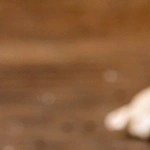 turrón de macadamia