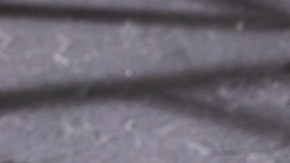 Buñuelos de maíz chilenos