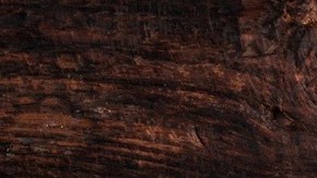 Plato blanco hondo con dumpling al horno en salsa de leche de coco y curry rojo