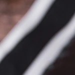 Rodajas de pan con paté al vino blanco decorado con perejil