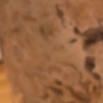 Porción de paté landes sobre rodajas de pan