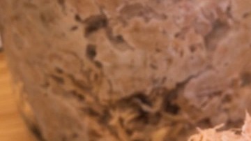 Porción de paté landes sobre rodajas de pan