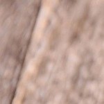 Pimientos al estilo oriental