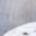 Plato decorado con perejil con unos rollos de pollo con jamón serrano, espinacas y queso