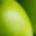 bizcocho vegano de plátano con chispas de chocolate