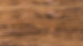 Varias unidades de buñuelos de cebolla y bacalao en un plato sobre una mesa de madera