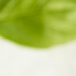 Recipiente blanco con mantequilla de ajo, decorada con hierbas sobre una mesa blanca