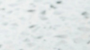 pan de hamburguesa sin gluten