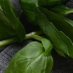 paté de pollo al coñac