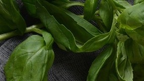 paté de pollo al coñac