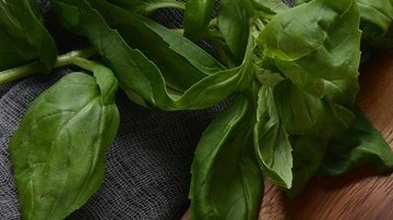 paté de pollo al coñac