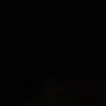 tostada de atún en pan integral redondo con huevo y tomate