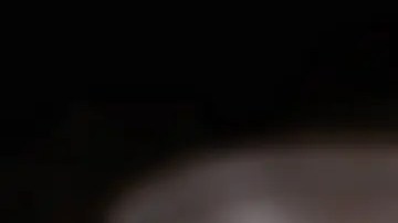 tostada de atún en pan integral redondo con huevo y tomate