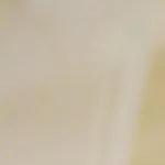 tostada de huevo con alfalfa