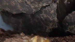 Pedazos de turrón de trufa, sobre una mesa de madera con frutos secos