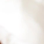 Pedazo de cheesecake de coco sobre un plato de cerámica