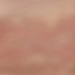 Pedazo de cheesecake de naranja decorado con gajos de naranja sobre un plato marrón