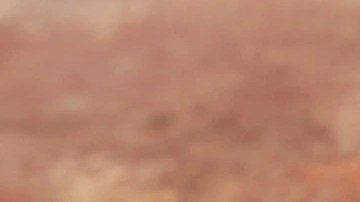 Pedazo de cheesecake de naranja decorado con gajos de naranja sobre un plato marrón