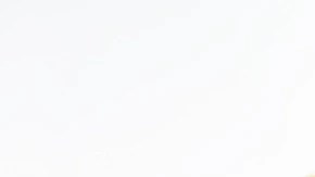 Plato blanco de ladoo frito sobre un fondo blanco