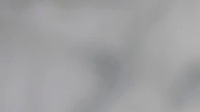 Dos vasos de cristal con sorbete de mezcal y lima decorados con rodajas de limón