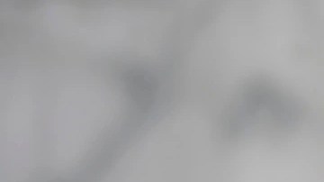 Dos vasos de cristal con sorbete de mezcal y lima decorados con rodajas de limón