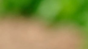 Sorbete de vino tinto con frutos secos del bosque en copas de cristal sobre una mesa blanca