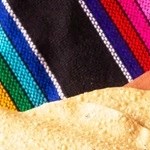 Tinga norteña