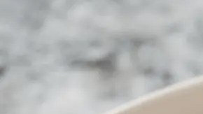 albóndigas de pollo al limón