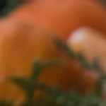 cheesecake de mandarina