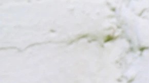 Vaso de cheesecake tea, la bebida decorada con chocolate sobre un fondo blanco