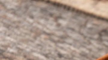 Enmoladas de pavo con queso en un tazón