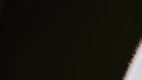 ensalada de camarones con espincas