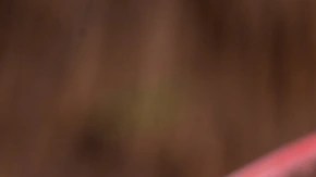 Granizado de granada en un vaso de cristal decorado con menta