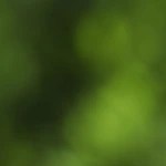 merengada de guayaba