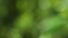 merengada de guayaba