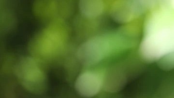 merengada de guayaba