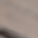 tosta vegana con hummus y tofu