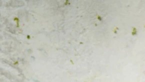 sorbete de margarita