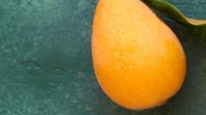 Bolas de sorbete de nispero sobre un tazón decorado con menta