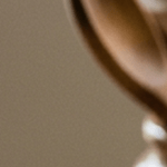 Batatas horneadas con canela y miel